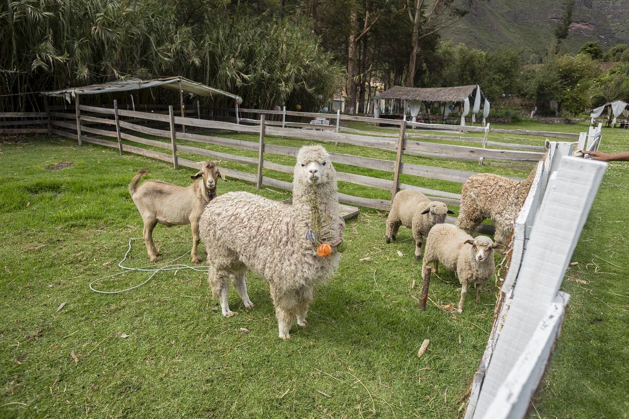 The Sacred Valley Lodge - Hotel Cusco Yucay Exterior photo